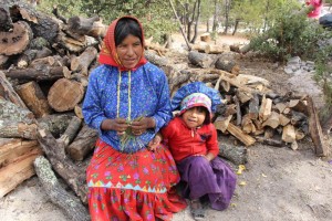 Enfrentarán comunidades indígenas el invierno sin cosecha de maíz (4)