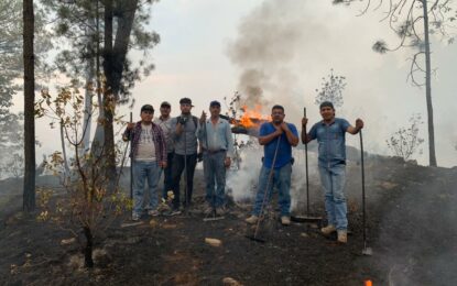 Intensos trabajos para reducir los incendios en Gpe y Calvo