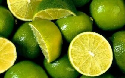 Subió 153% el precio de limón, “desproporcionado”: Agricultura