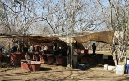 Desmantelaron 81 narcolaboratorios en “bastión” del Cártel de Sinaloa